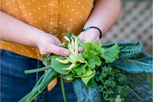 The Best Leafy Greens to Grow in Containers