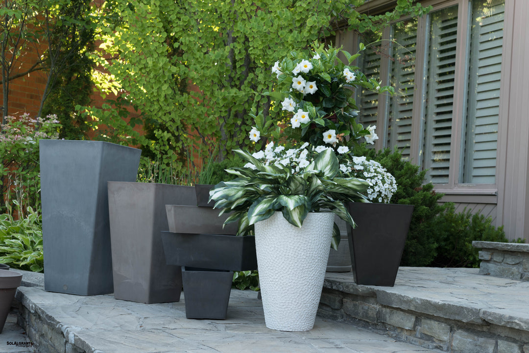 Choosing Outdoor Planters: A Guide to Elevating Your Garden and Patio!