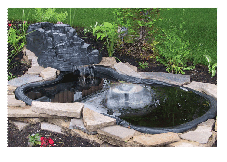🌿 Algreen Pond Care Guide