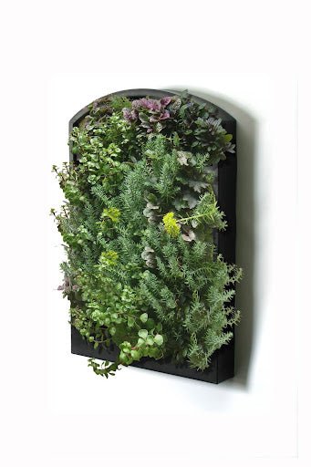 How to Plant a Vertical Garden