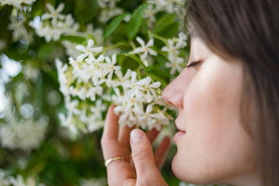 Fragrant Plants for a Scented Garden