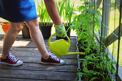 Fruits and Veggies That Grow in Containers