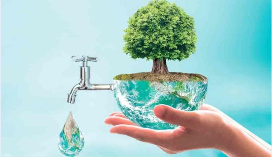 Smart Summer Gardening: Efficient Water Usage with Rain Barrels and Self-Watering Planters