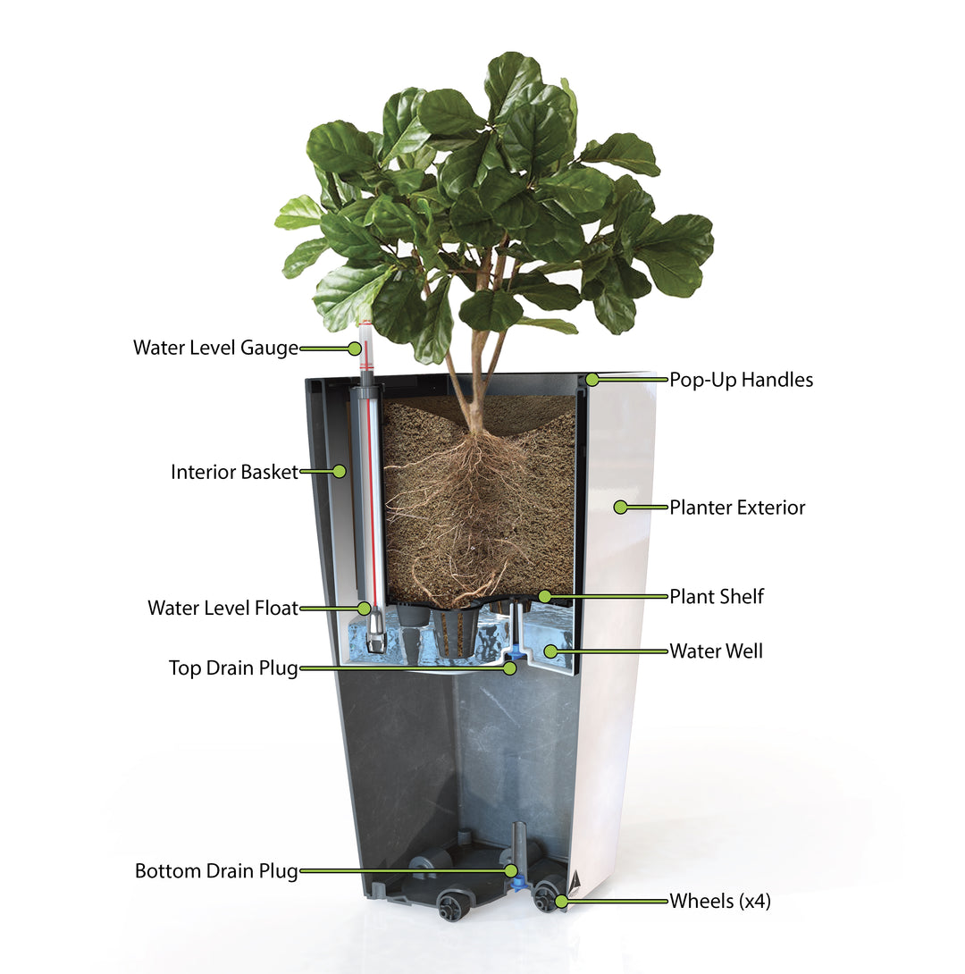 Modena Self-Watering Planter, Square Taper