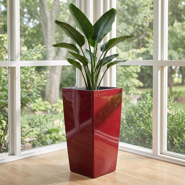 Modena Self-Watering Planter, Square Taper
