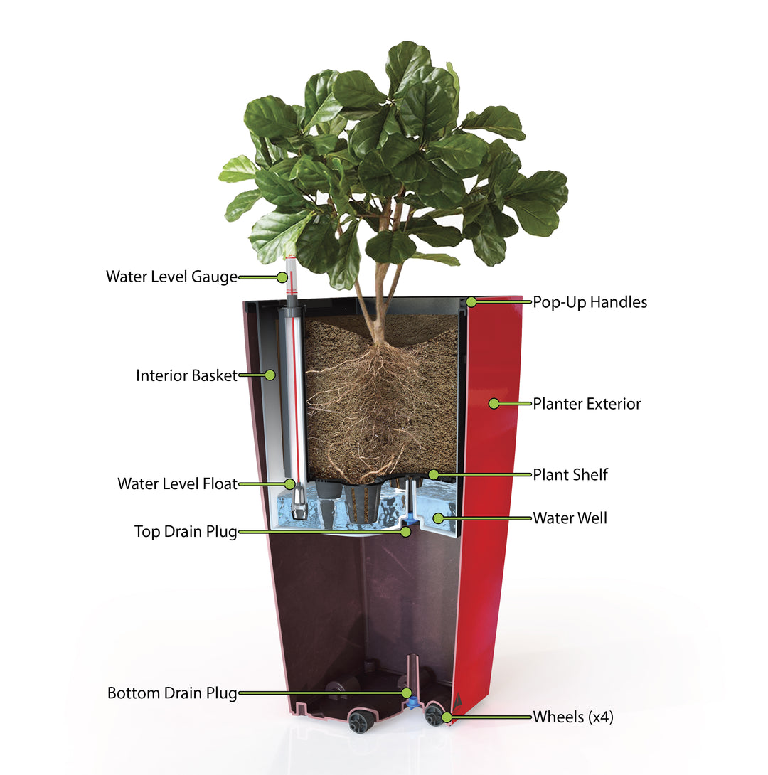 Modena Self-Watering Planter, Square Taper