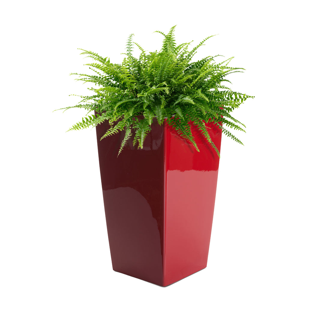 Modena Self-Watering Planter, Square Taper