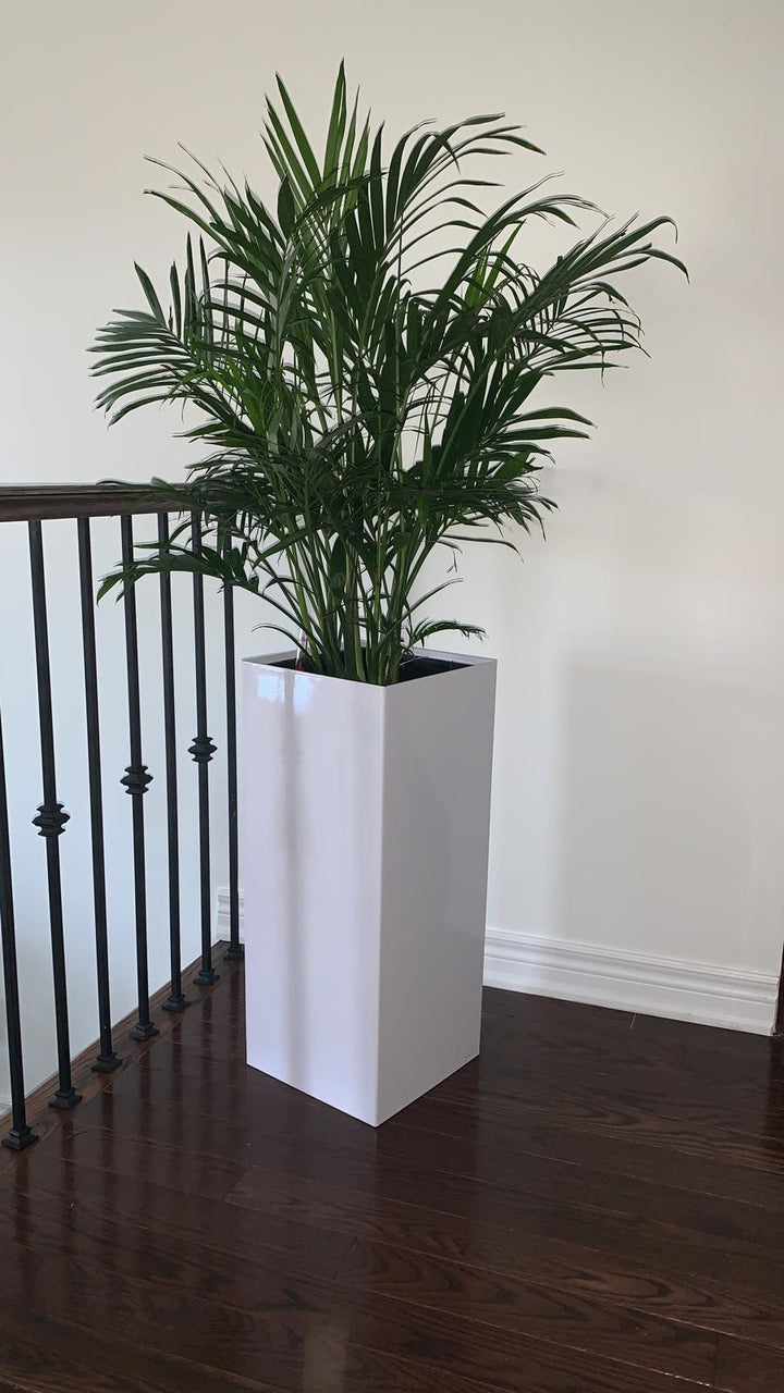 Modena Pillar Planter, White