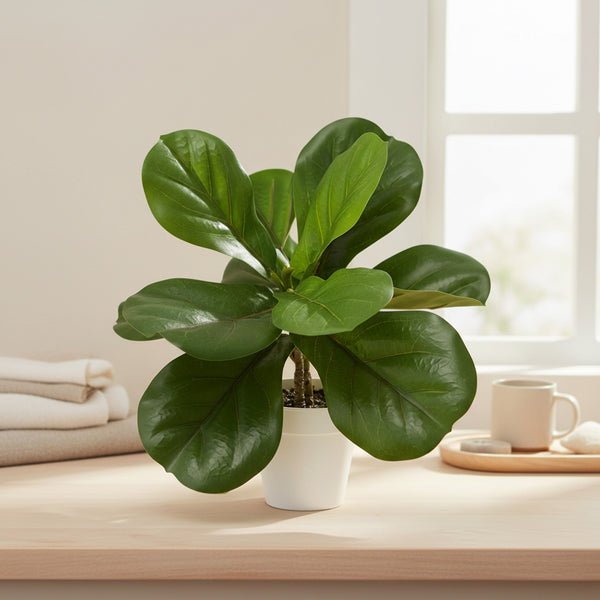 15 inch faux potted ficus in white decorative planter with lifelike layered leaves