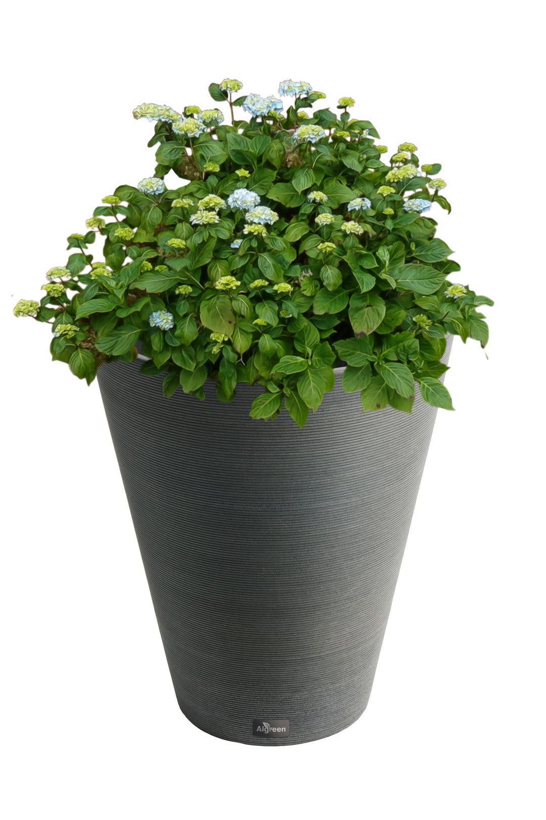 Round Ribbed Planter