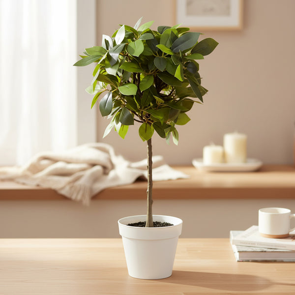 18 inch faux weeping ficus in white decorative planter with lifelike cascading leaves