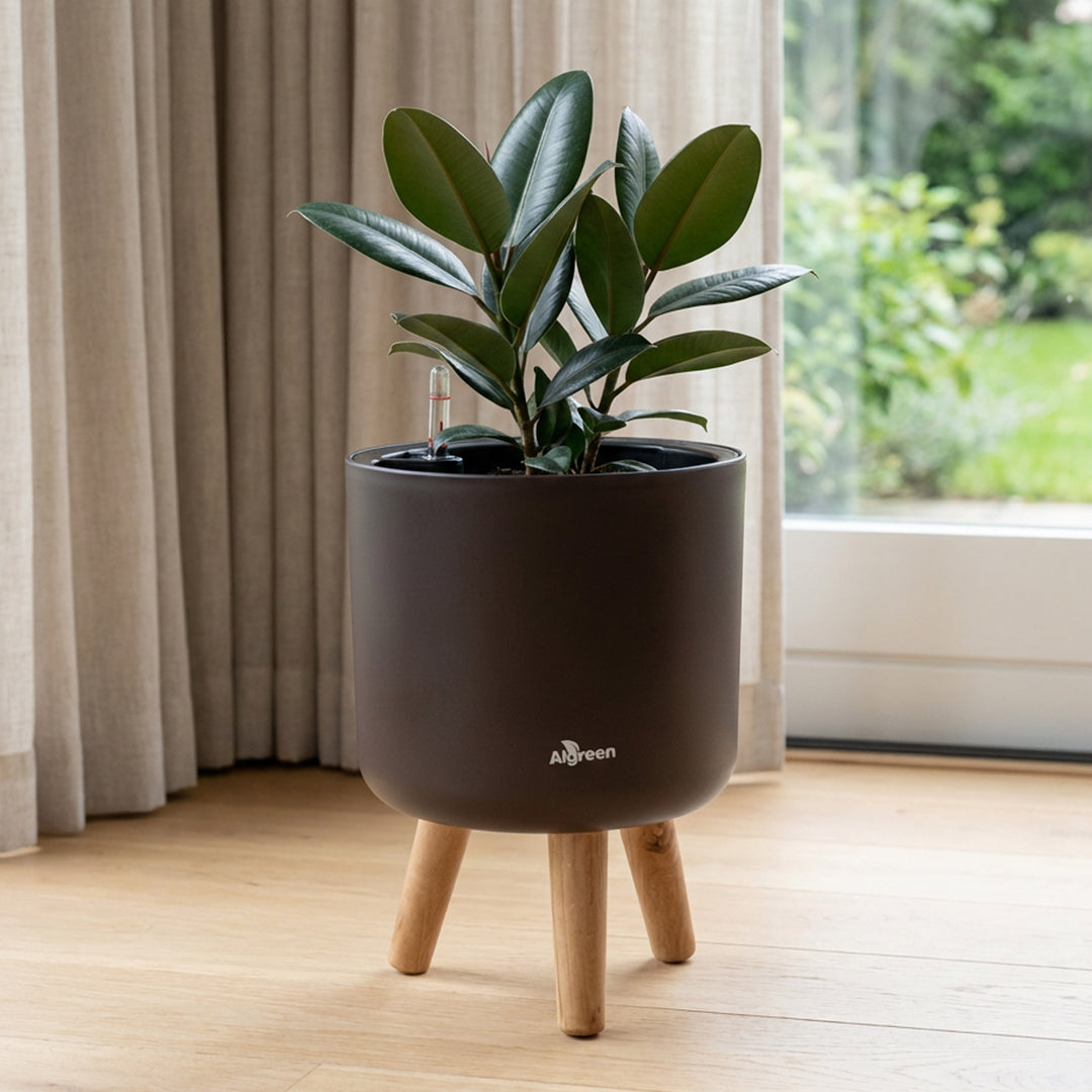 Modena Self-Watering Planter with Stand