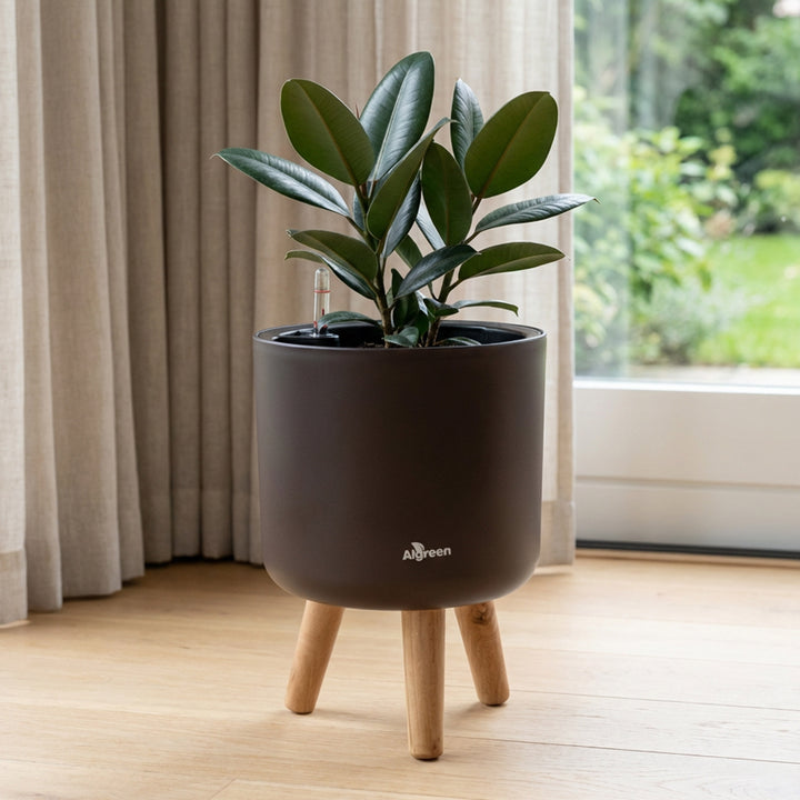Modena Self-Watering Planter with Stand