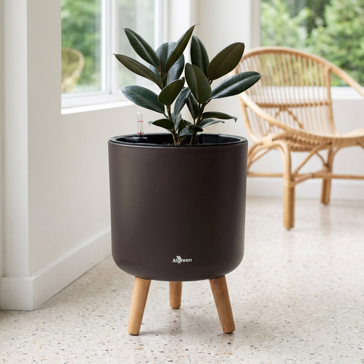 Modena Self-Watering Planter with Stand