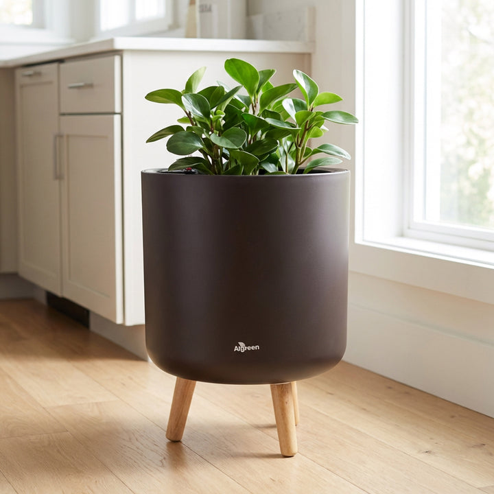 Modena Self-Watering Planter with Stand