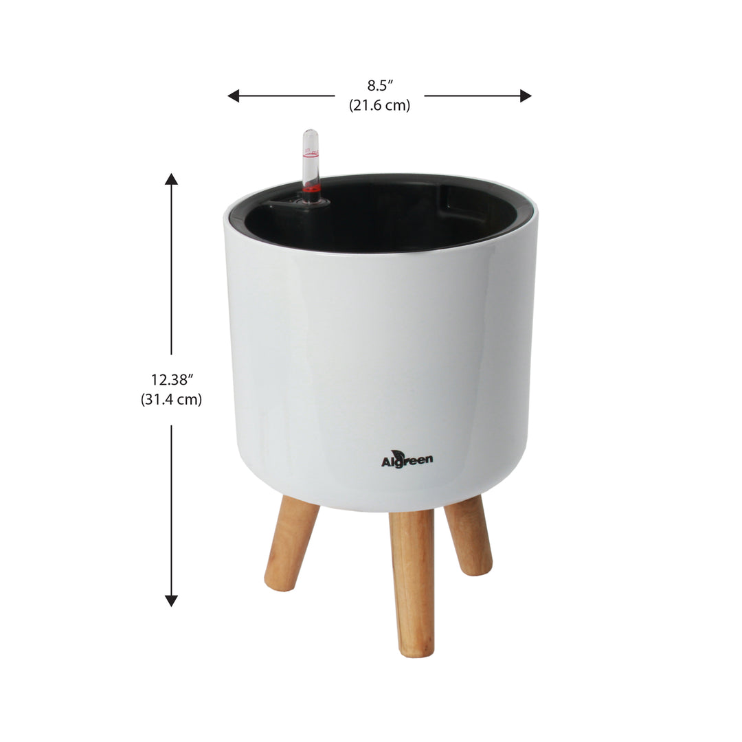Modena Self-Watering Planter with Stand