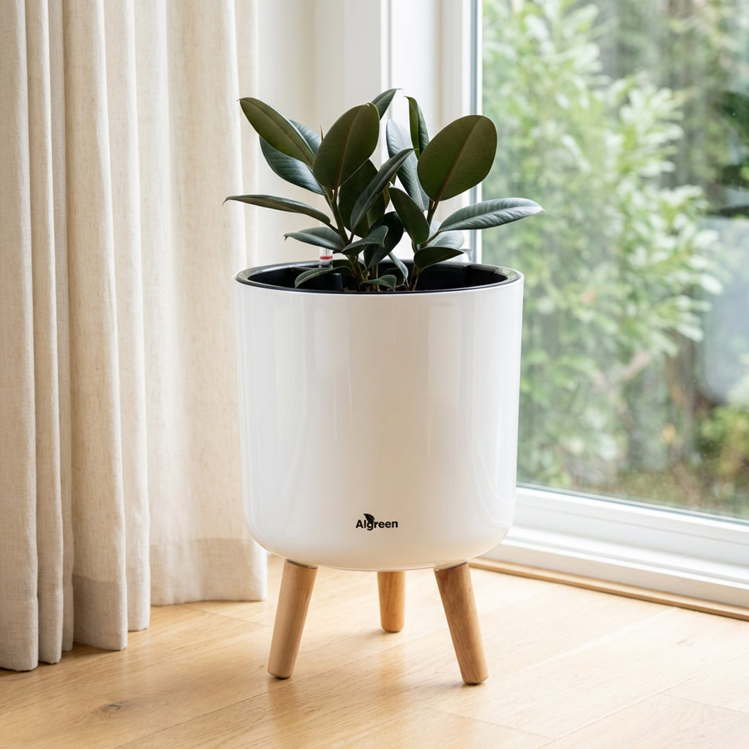 Modena Self-Watering Planter with Stand
