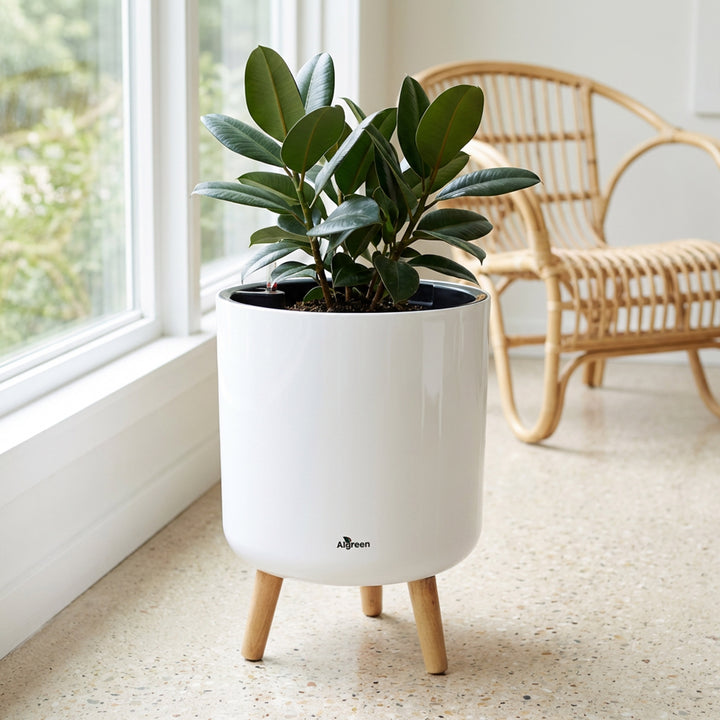 Modena Self-Watering Planter with Stand