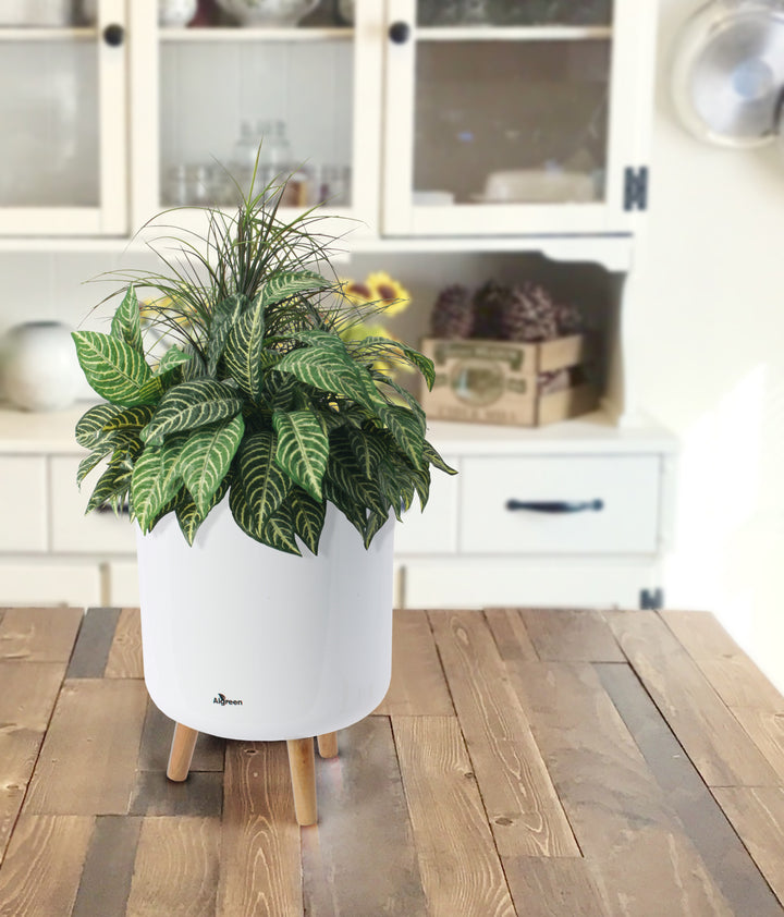 Self watering Planter with Stand