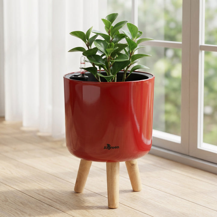 Modena Self-Watering Planter with Stand