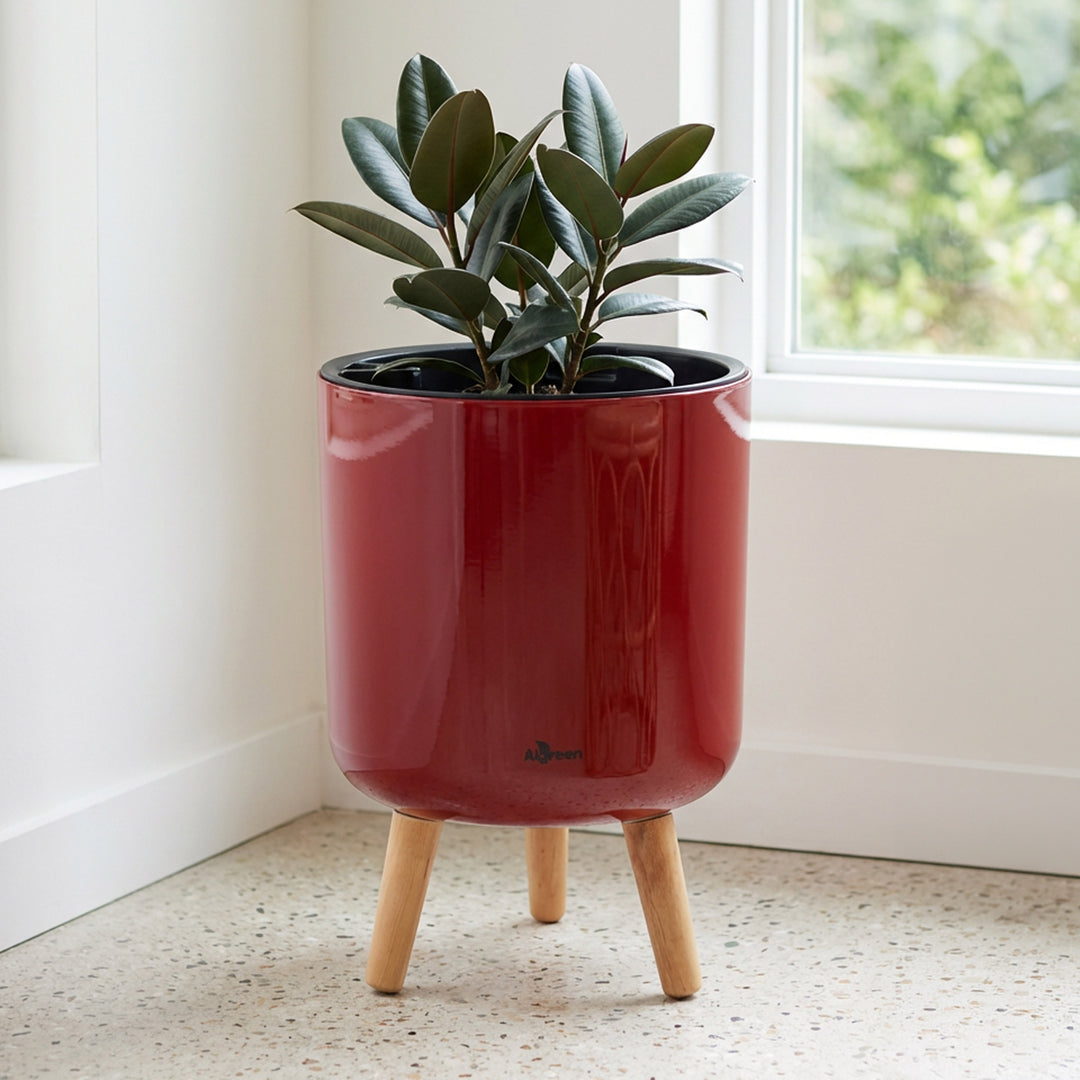 Modena Self-Watering Planter with Stand