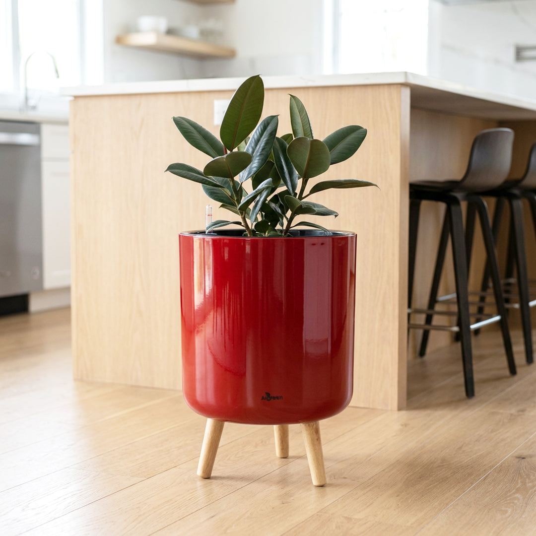 Modena Self-Watering Planter with Stand