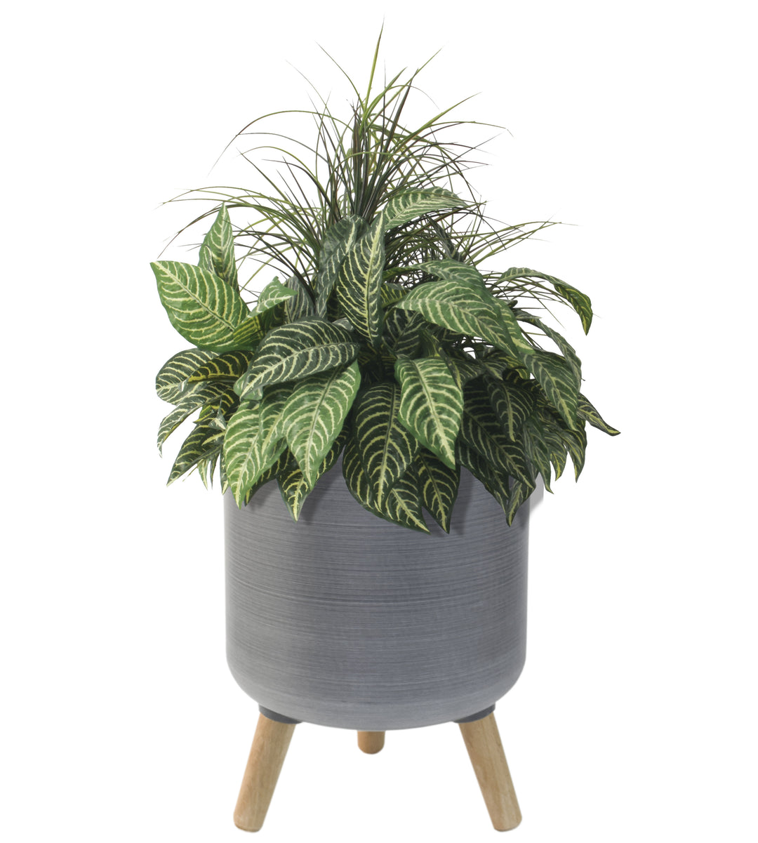 Modena Planter with Stand, Brushed