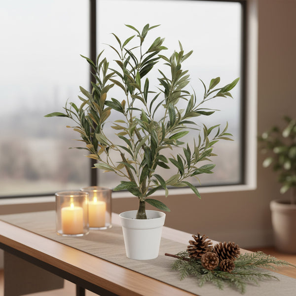 26" Table Top Olive Tree