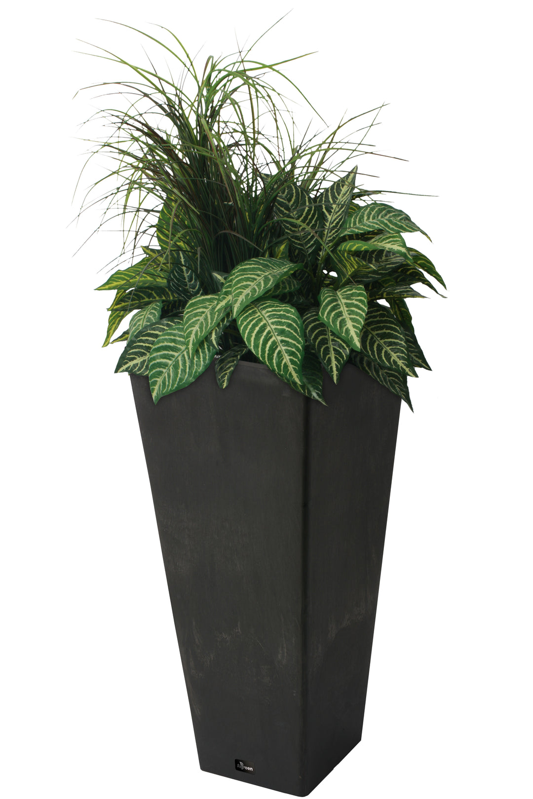 Square Planter with Watering Tray