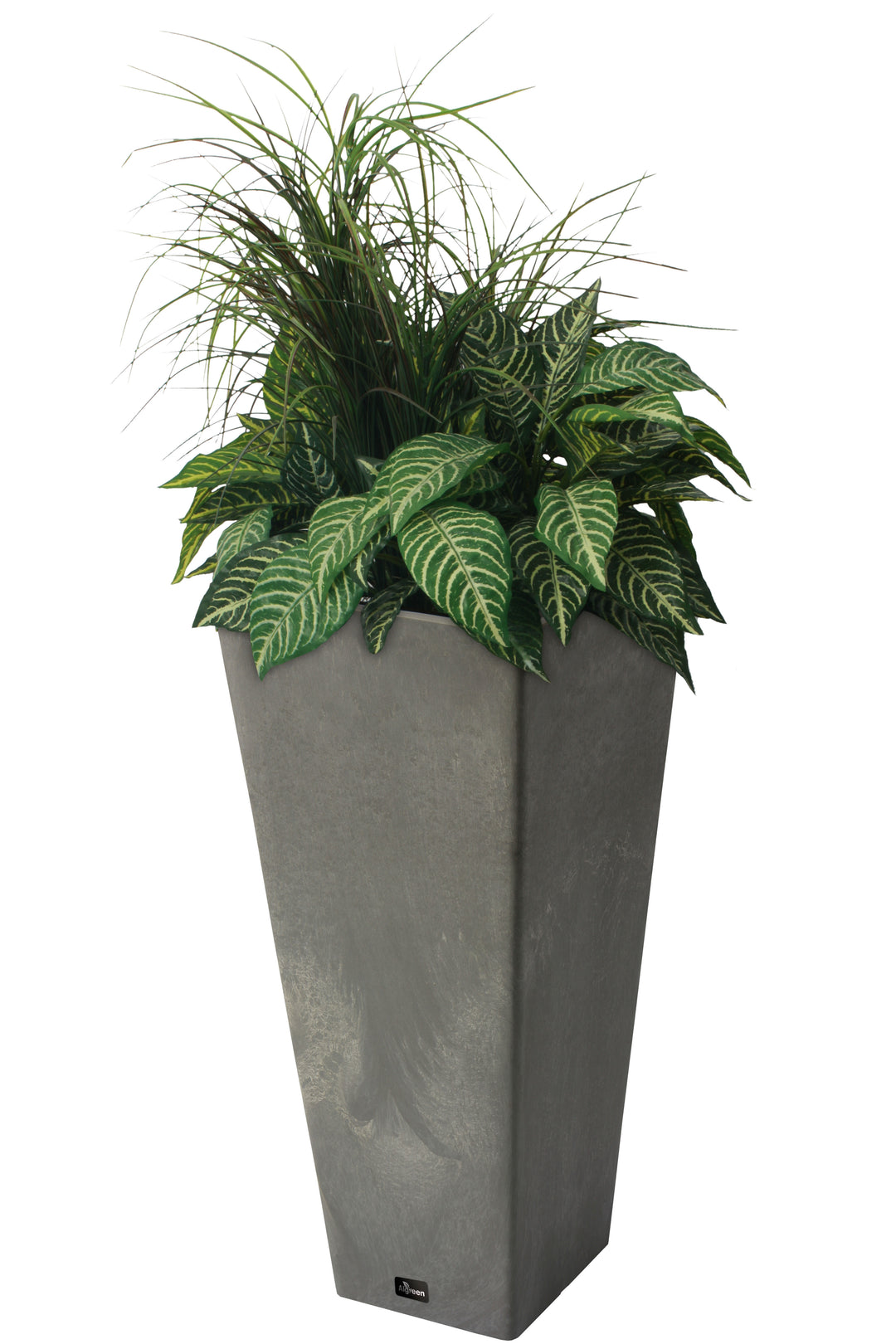 Square Planter with Watering Tray