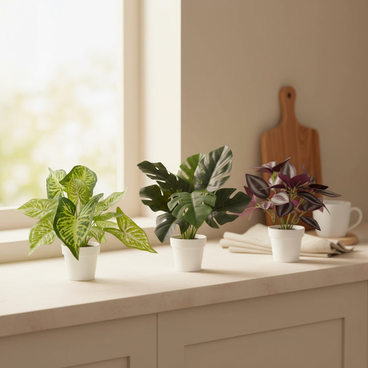Faux plant 3-pack set with Purple Eyebrow, Caladium, and Monstera in white decorative planters