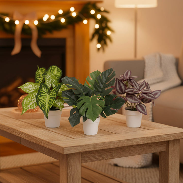 Faux plant 3-pack set with Purple Eyebrow, Caladium, and Monstera in white decorative planters