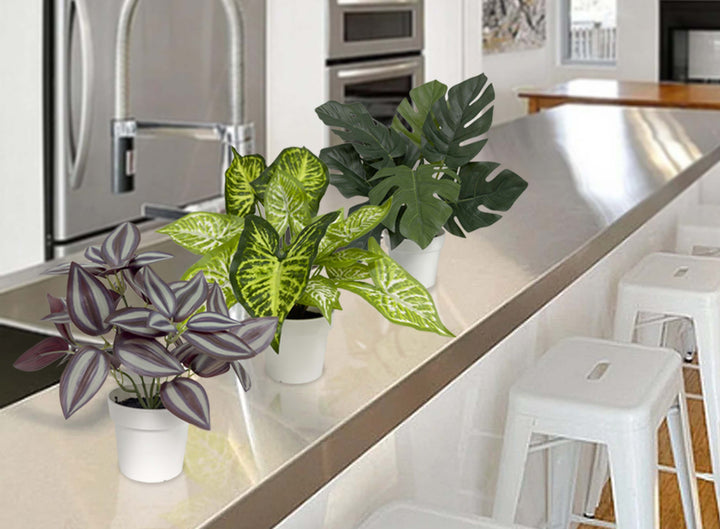 Faux Plant 3 Pack set Eyebrow, Caladium and Monstera