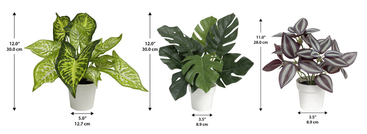 Faux Plant 3 Pack set Eyebrow, Caladium and Monstera