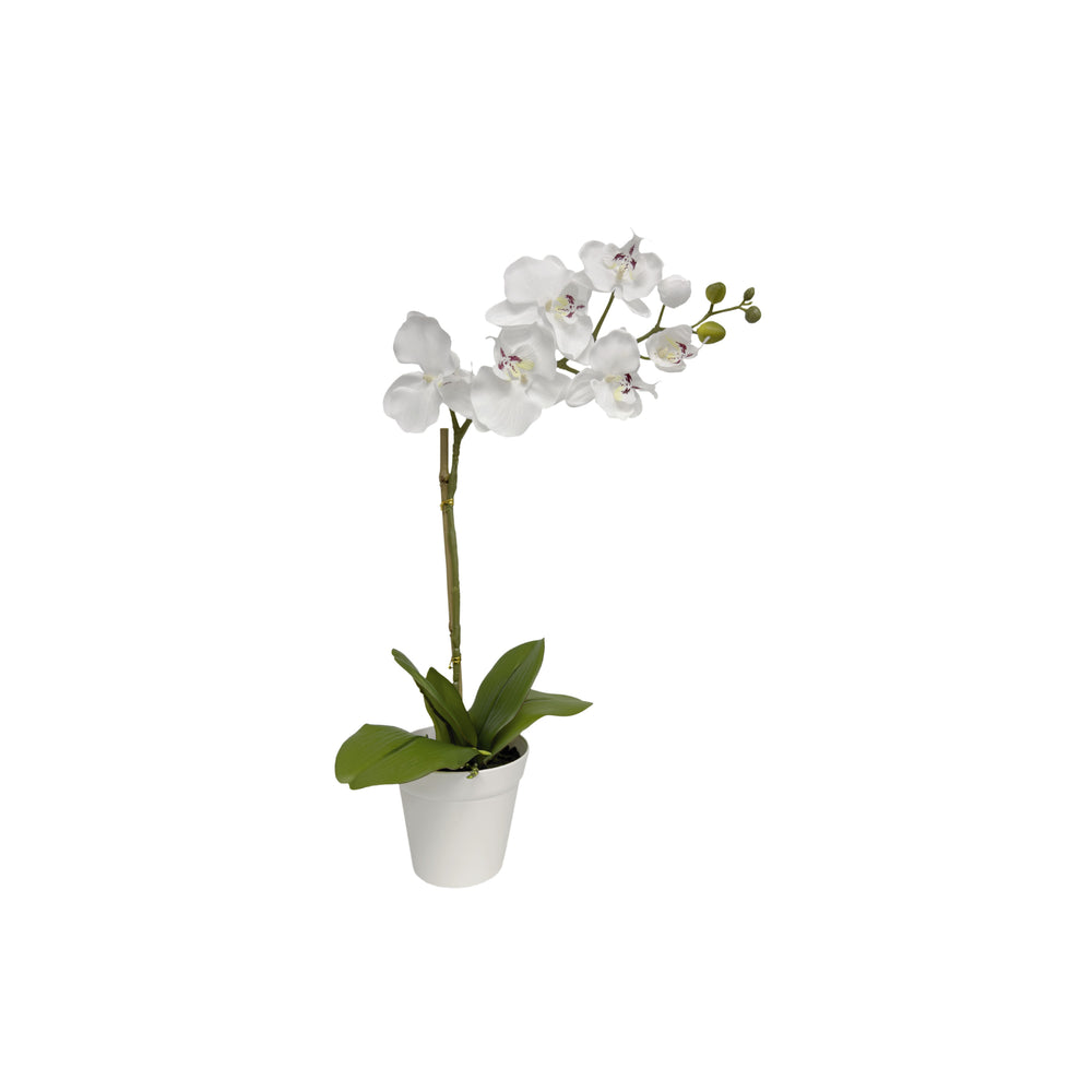 20 inch faux white orchid in white decorative planter with lifelike petals and leaves