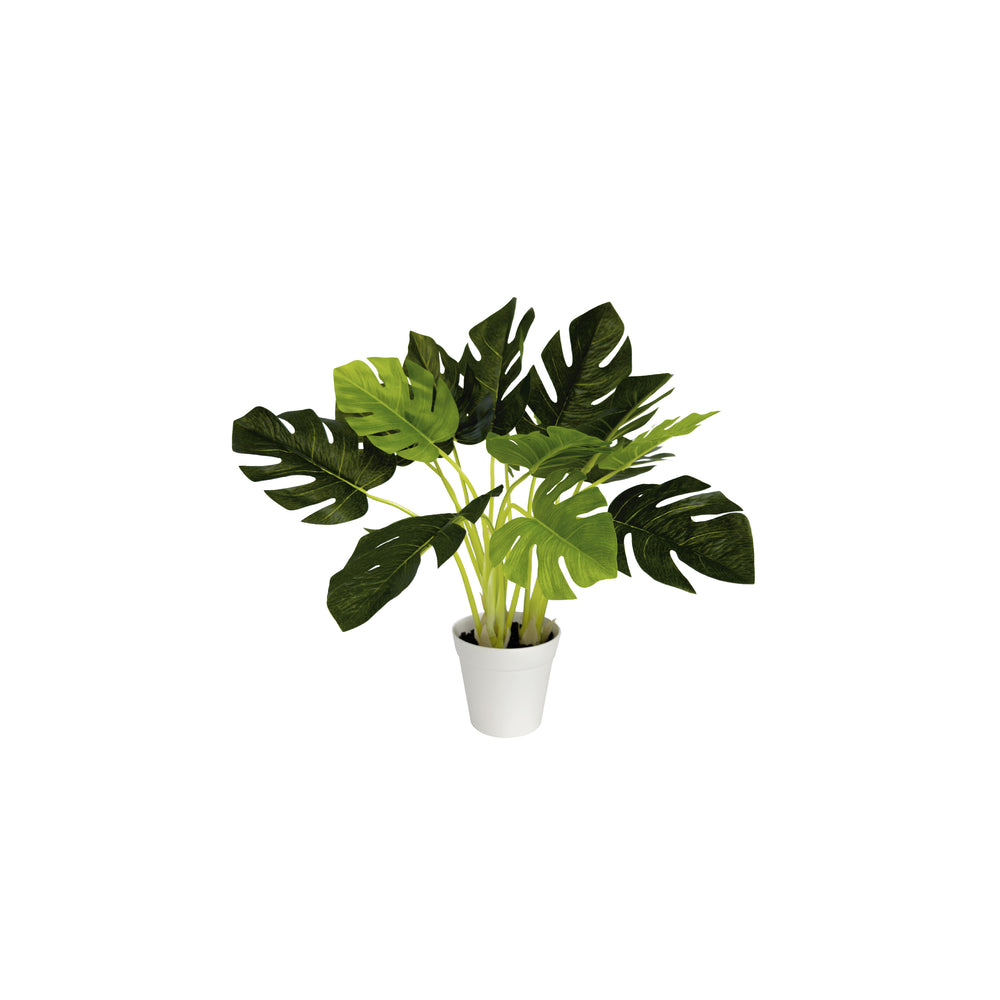 19 inch faux monstera in white decorative planter with lifelike split leaves