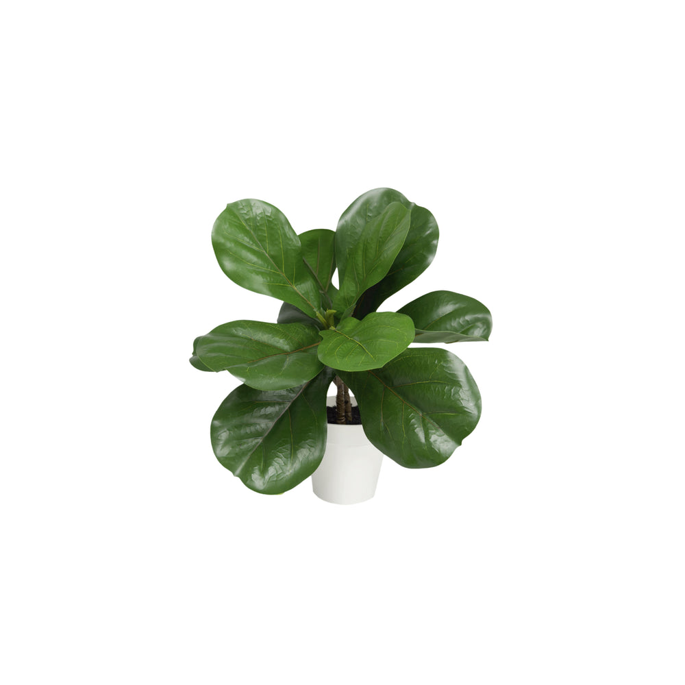 15 inch faux potted ficus in white decorative planter with lifelike layered leaves