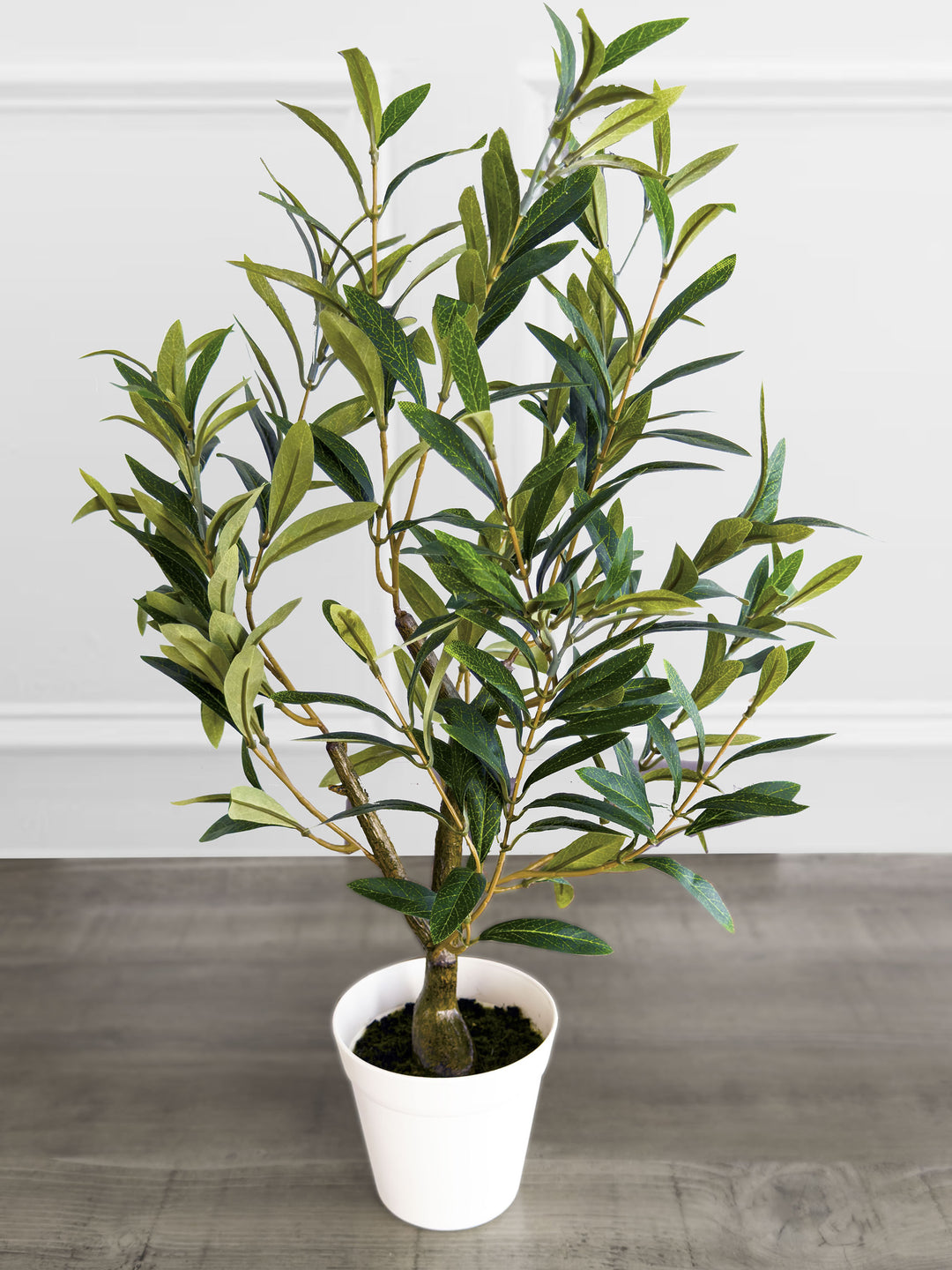 26" Table Top Olive Tree