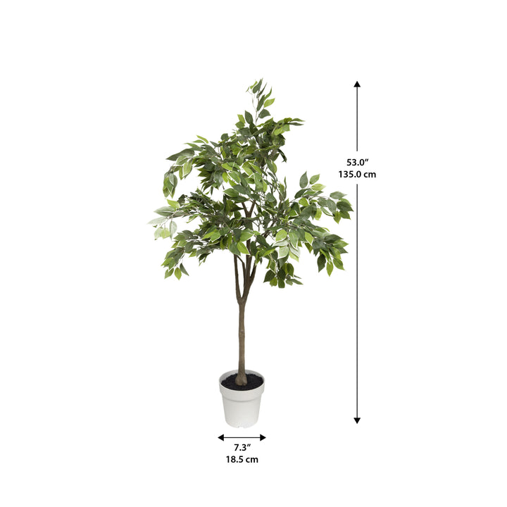 53" Ficus Tree 162 Leave