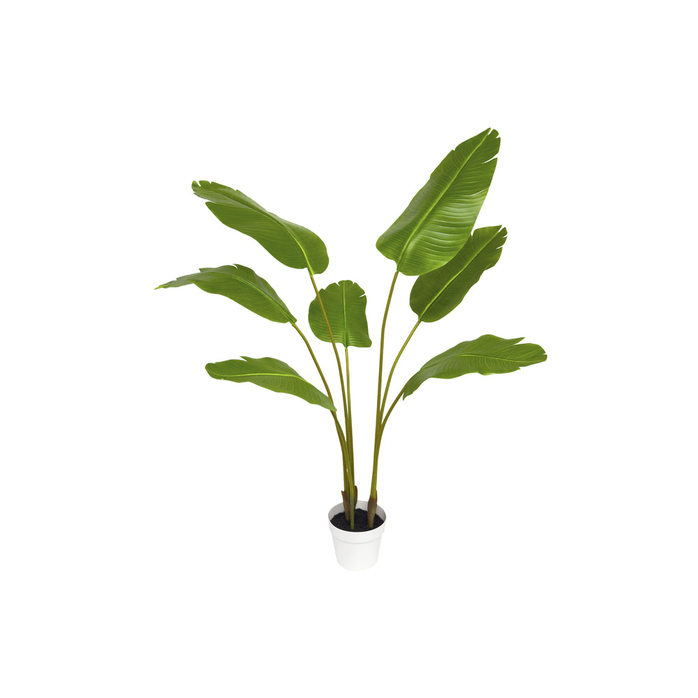 55 inch faux paradise palm in white decorative planter with lifelike fronds