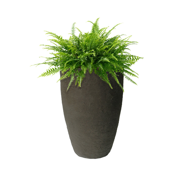 Athena Self Watering Planter