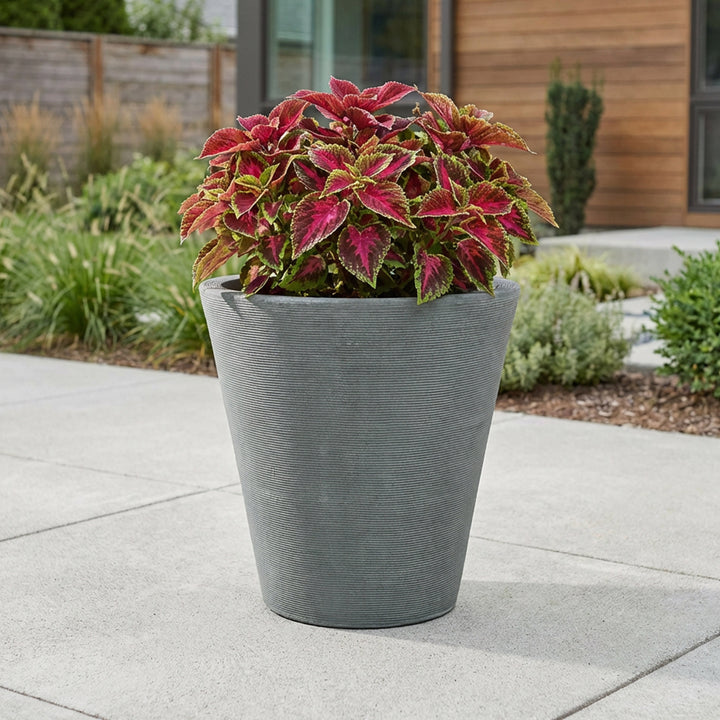 Olympus Self-Watering Planter