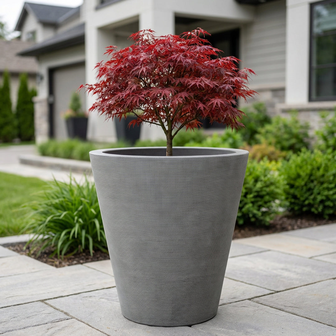 Olympus Self-Watering Planter