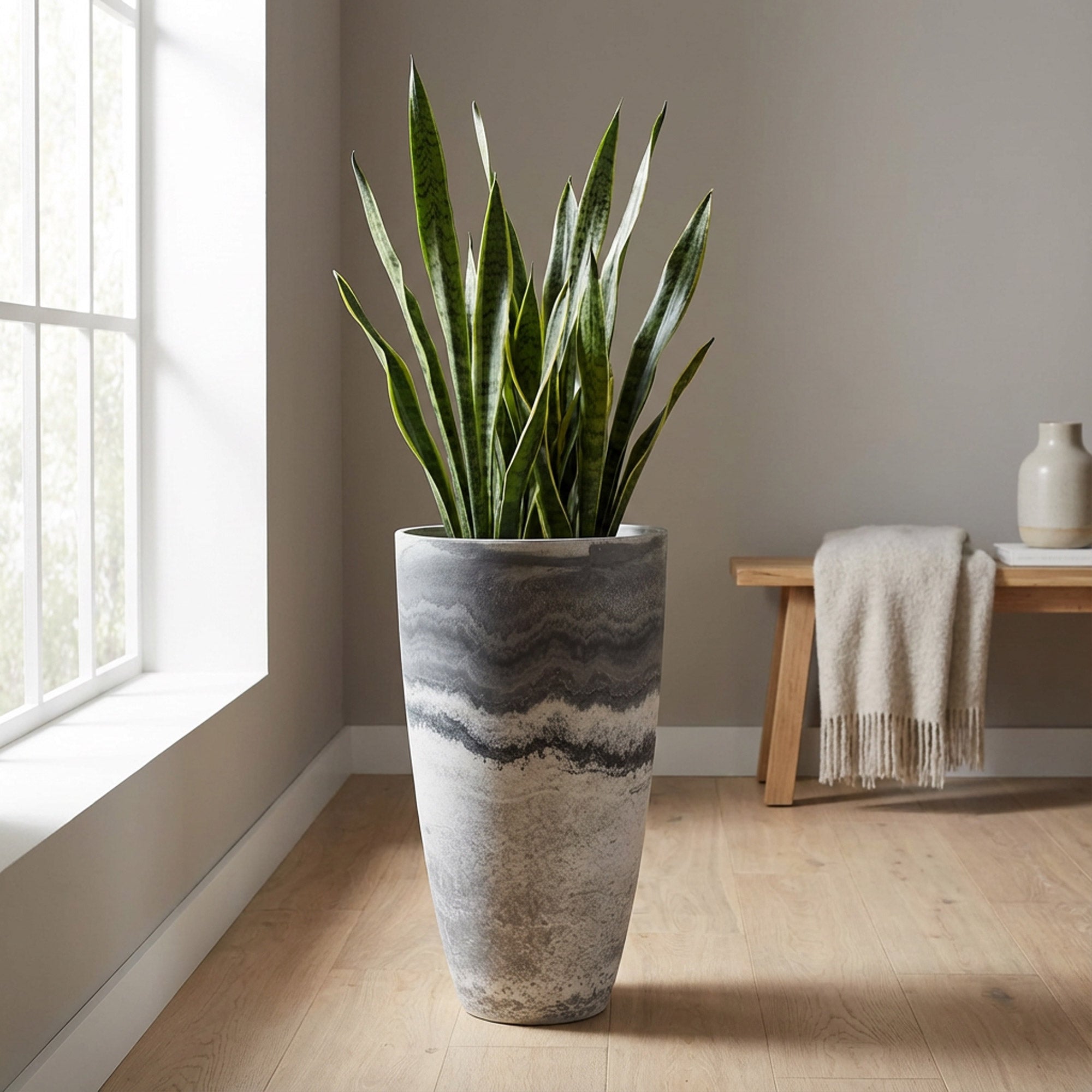 Curved Vase Planter | Acerra Planters | Algreen – Algreen Products