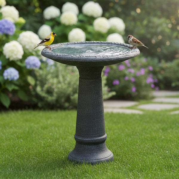 Birdbath