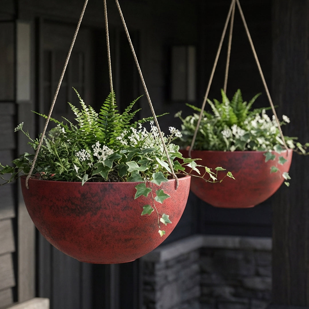 Acerra Hanging Basket, 2-Pack
