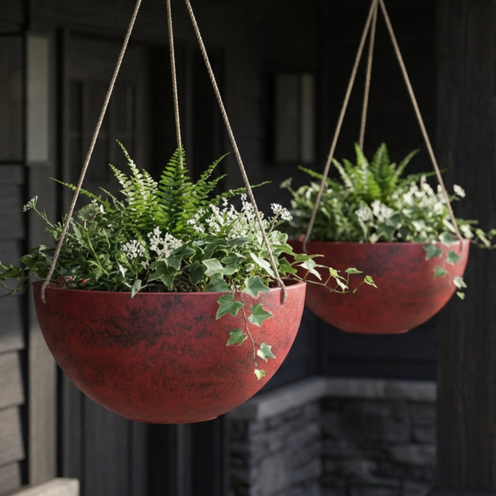Acerra Hanging Basket, 2-Pack