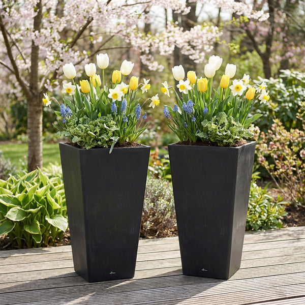 Square Planters, 2-Pack