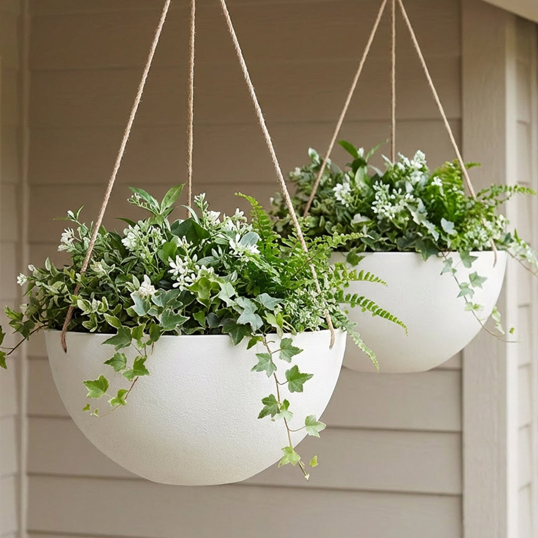 Acerra Hanging Basket, 2-Pack