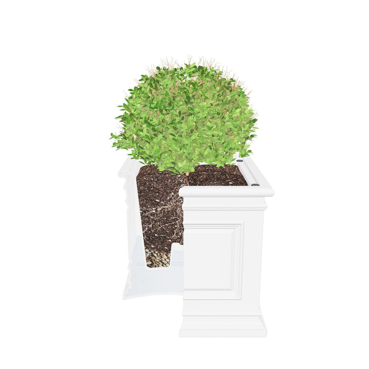 Covington Self-Watering Planter, Cube
